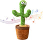 Talking cactus